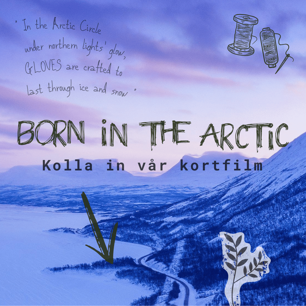 Born in the artic - film